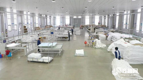 服務專精特新媒體行 可水洗棉被 凍干食品 德州 萬企升級 行動助力企業快速發展